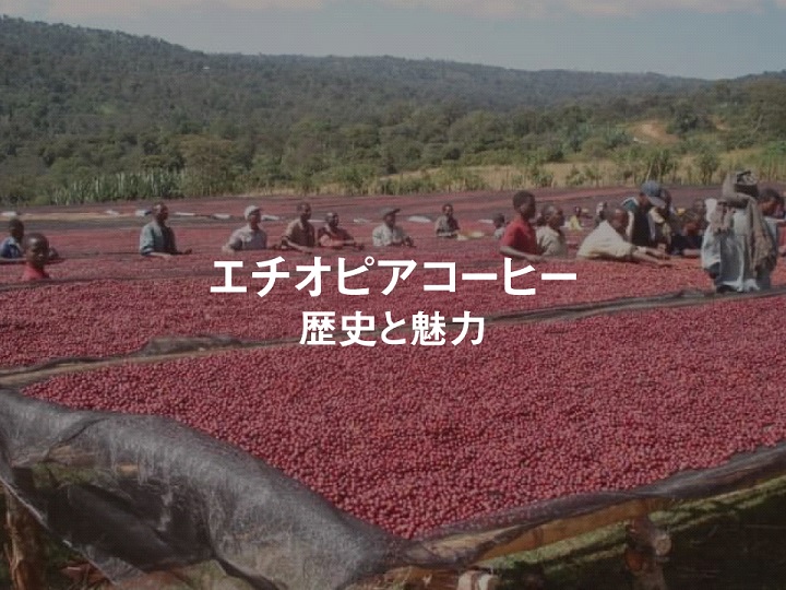エチオピアコーヒー農園の風景